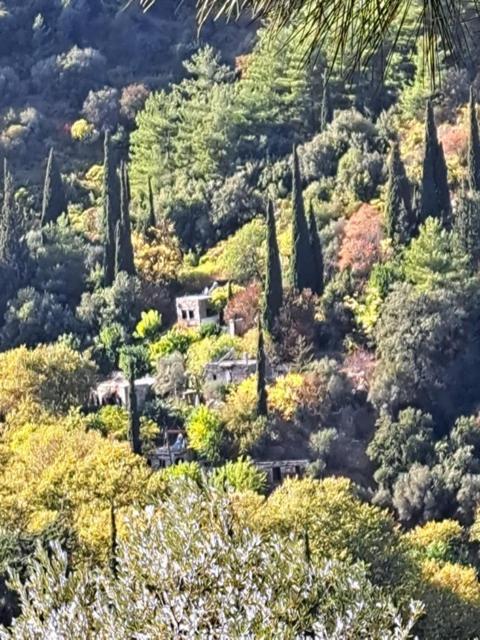 Valeondades Villa Valeontades Bagian luar foto